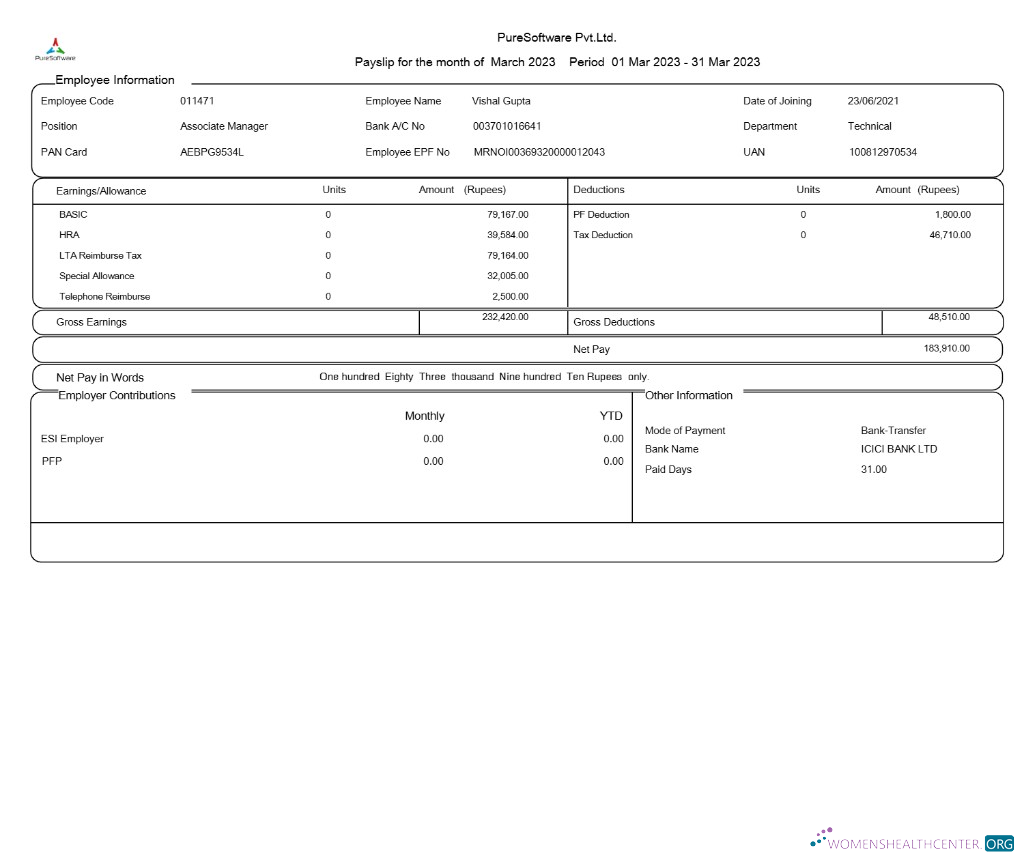 Download PureSoftware payslip template in Word and PDF formats.pdf, 1 Photoshop template